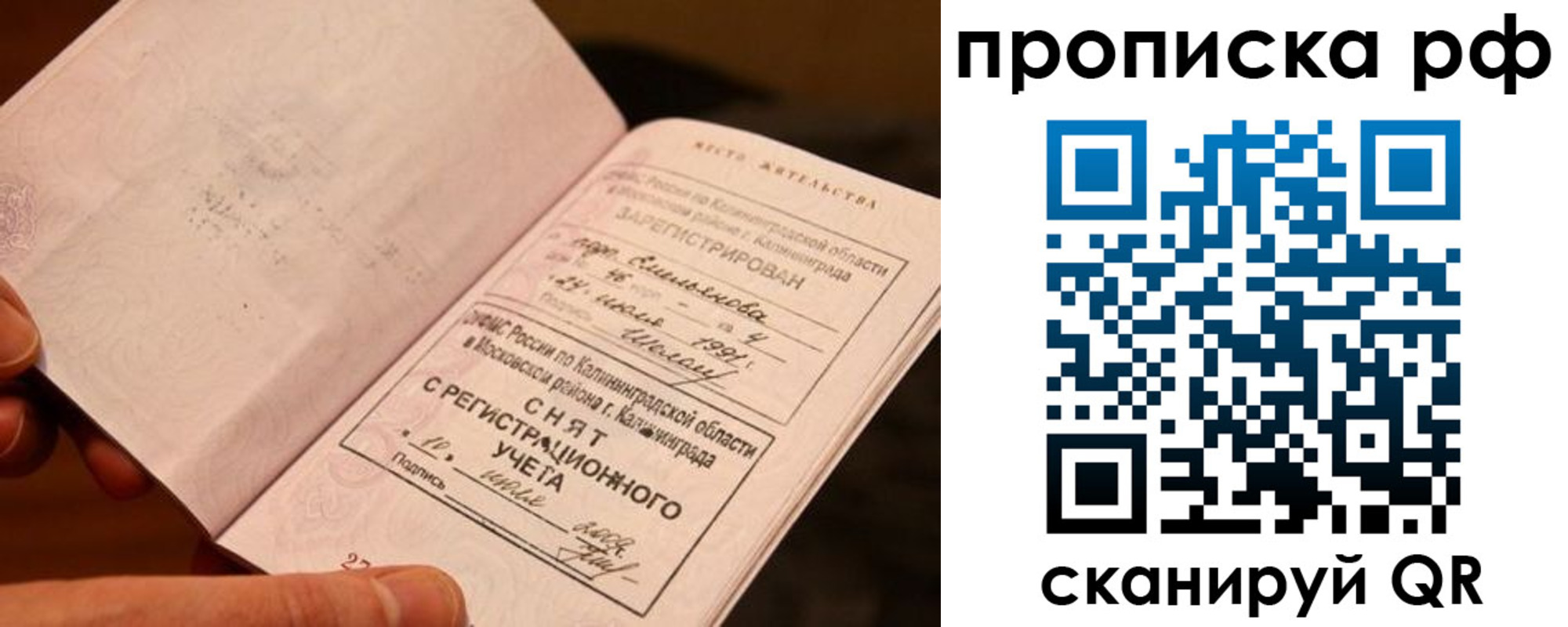 прописка гарантия в Солнечногорске